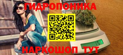 PSILOCYBIN Малгобек