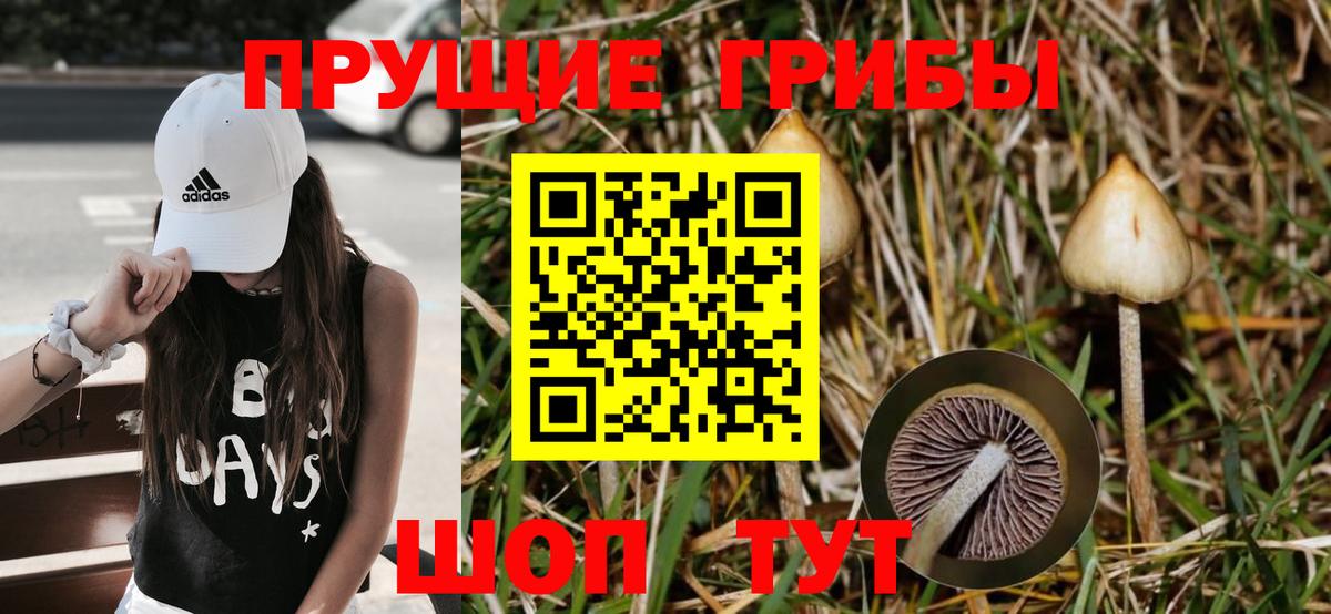 купить   Галлюциногенные грибы прущие грибы  Вход с VPN  Вичуга 